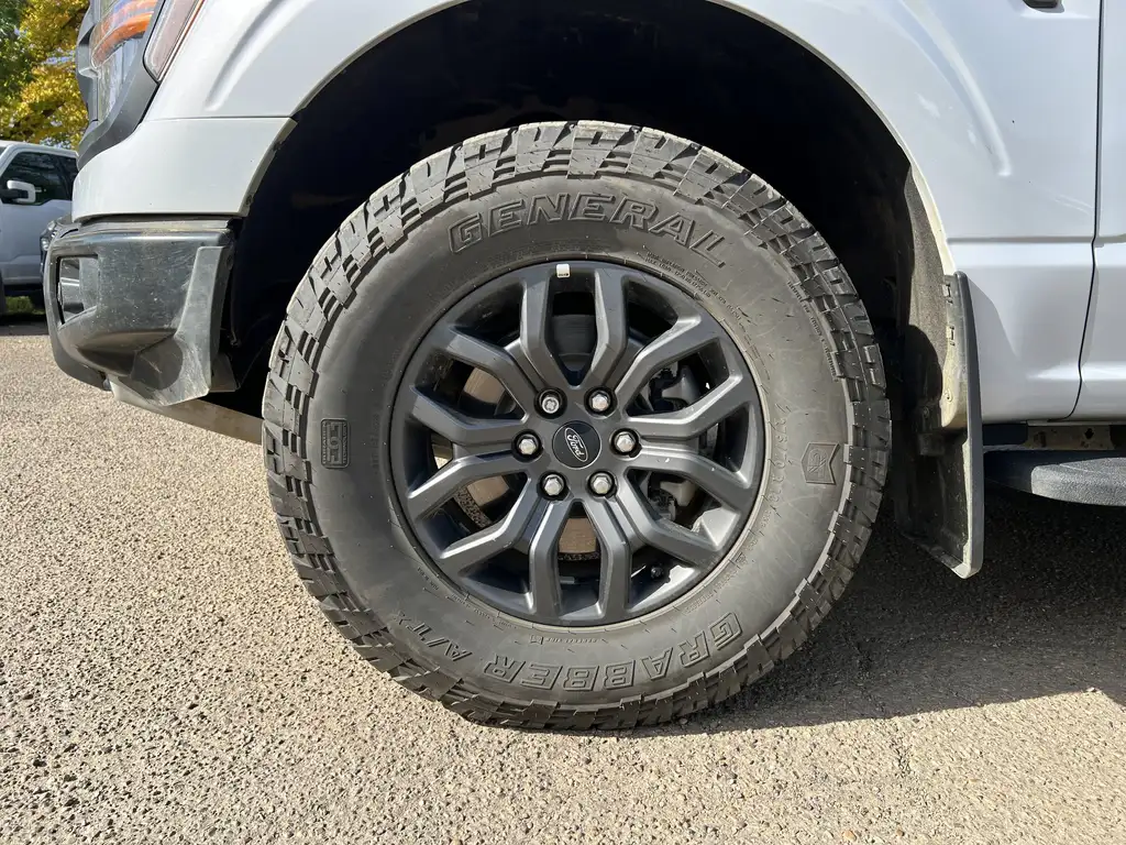 2025 Ford F-150 SuperCrew Tremor SuperCrew 145 | MoonRoof | Upfitter Switche — photo 4