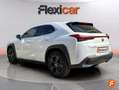 Lexus UX 250h 2.0 Business Blanco - thumbnail 4