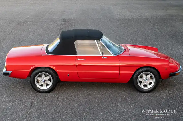 Alfa Romeo Spider view 9