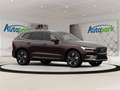 Volvo XC60 Plus, T6 AWD Plug-in Hybrid, Elektrisch/Benzin, Br Braun - thumbnail 7