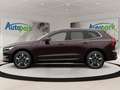 Volvo XC60 Plus, T6 AWD Plug-in Hybrid, Elektrisch/Benzin, Br Braun - thumbnail 2