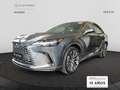 Lexus RX 450h 450h+ Executive Gris - thumbnail 2