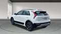 Kia Niro 1.6 GDI HEV DRIVE 129CV 5P Blanco - thumbnail 2