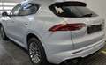 Maserati Grecale MHEV 300 CV AWD GT *VARI COLORI, PROMO AZZURRA* Bianco - thumbnail 2