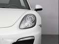 Porsche Boxster S Flat 6 3.4L - thumbnail 13