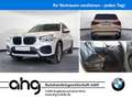 BMW X3 xDrive30e Innovationspaket Business Paket Har Bianco - thumbnail 1