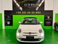 Fiat 500 1.2 60° 1prop Euro6 Bianco - thumbnail 1