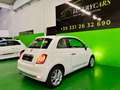 Fiat 500 1.2 60° 1prop Euro6 Bianco - thumbnail 6
