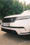 Land Rover Range Rover Velar Range Rover Velar D300 MHEV Allrad R-Dynamic SE Aut. R-Dynamic SE Silber - thumbnail 4