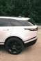 Land Rover Range Rover Velar Range Rover Velar D300 MHEV Allrad R-Dynamic SE Aut. R-Dynamic SE Silber - thumbnail 6