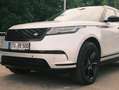 Land Rover Range Rover Velar Range Rover Velar D300 MHEV Allrad R-Dynamic SE Aut. R-Dynamic SE Silber - thumbnail 5
