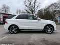 Mercedes-Benz GLE 350 d 4Matic  / AMG Line / 360Kamera Blanco - thumbnail 6