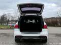 Mercedes-Benz GLE 350 d 4Matic  / AMG Line / 360Kamera Blanco - thumbnail 11