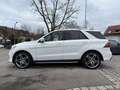 Mercedes-Benz GLE 350 d 4Matic  / AMG Line / 360Kamera Blanco - thumbnail 2