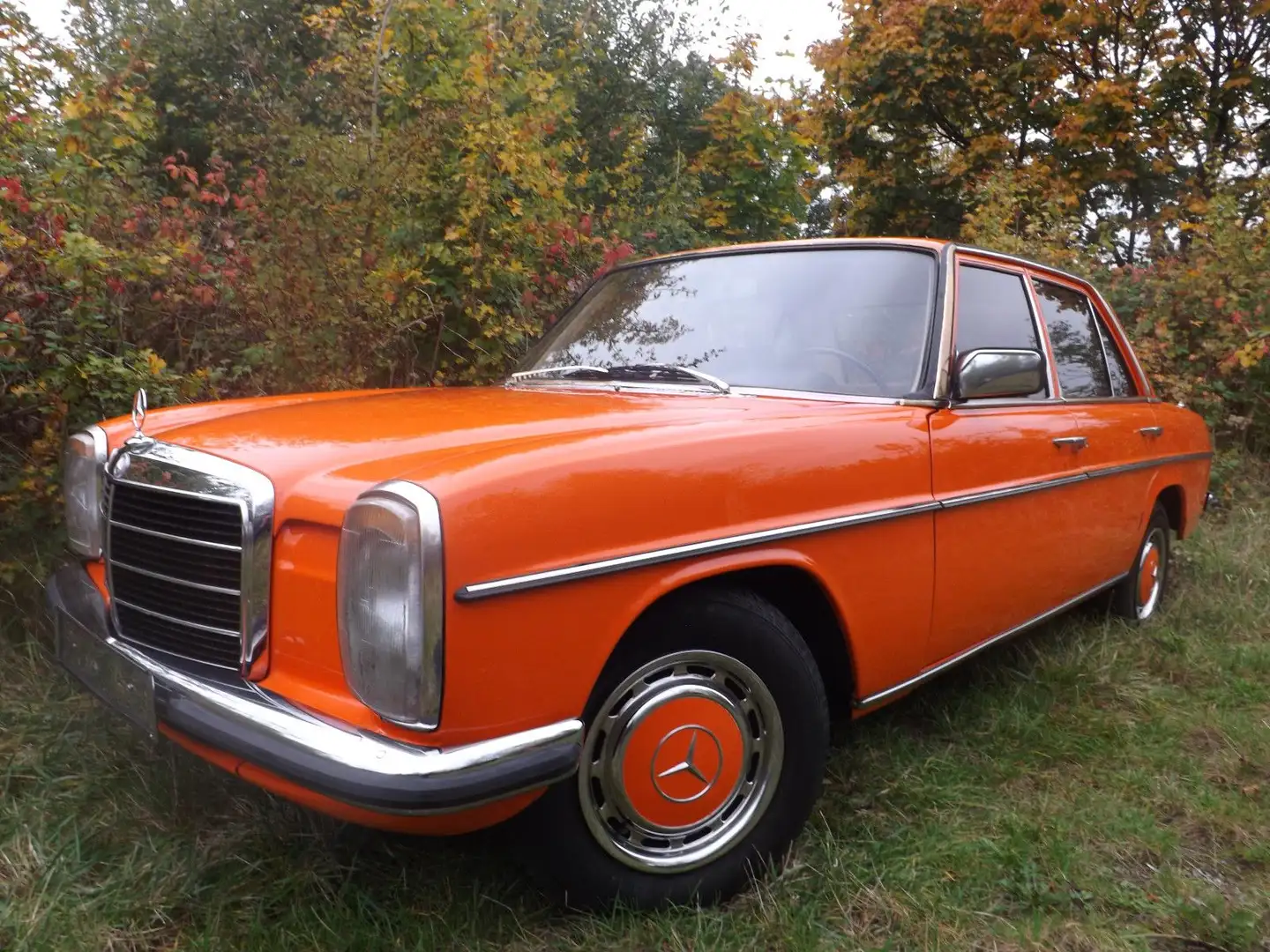 Mercedes-Benz 200 D- "A Clockwork Orange" - 1