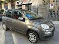 Fiat Panda Panda 1.2 Easy s Gris - thumbnail 2