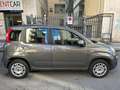 Fiat Panda Panda 1.2 Easy s Gris - thumbnail 3