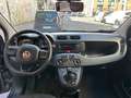Fiat Panda Panda 1.2 Easy s Gris - thumbnail 22