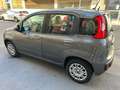 Fiat Panda Panda 1.2 Easy s Gris - thumbnail 8