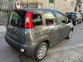 Fiat Panda Panda 1.2 Easy s Gris - thumbnail 4