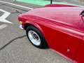 Triumph TR6 Oro - thumbnail 20