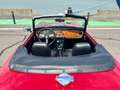 Triumph TR6 Oro - thumbnail 27