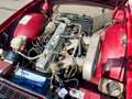 Triumph TR6 Oro - thumbnail 43
