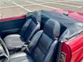 Triumph TR6 Oro - thumbnail 36
