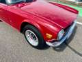 Triumph TR6 Oro - thumbnail 11