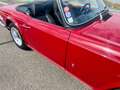 Triumph TR6 Oro - thumbnail 12