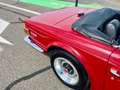 Triumph TR6 Oro - thumbnail 13