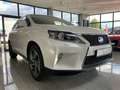 Lexus RX 450h h (hybrid)*F SPORT*Limited Edition Blanc - thumbnail 6