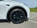 Tesla Model Y Model Y Long Range AWD/FSD/SR+WR/Leasingfähig Weiß - thumbnail 12