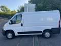 Fiat Ducato 28 CH1 2.0 MULTIJET 16V 115CV EU6 Blanc - thumbnail 3