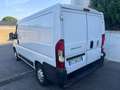 Fiat Ducato 28 CH1 2.0 MULTIJET 16V 115CV EU6 Blanc - thumbnail 4
