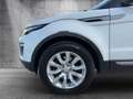 Land Rover Range Rover Evoque SE Autom/Leder/1Jahr Garantie Weiß - thumbnail 23