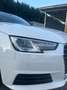 Audi A4 Avant 2.0 tdi Business 150cv multitronic E5 - thumbnail 6