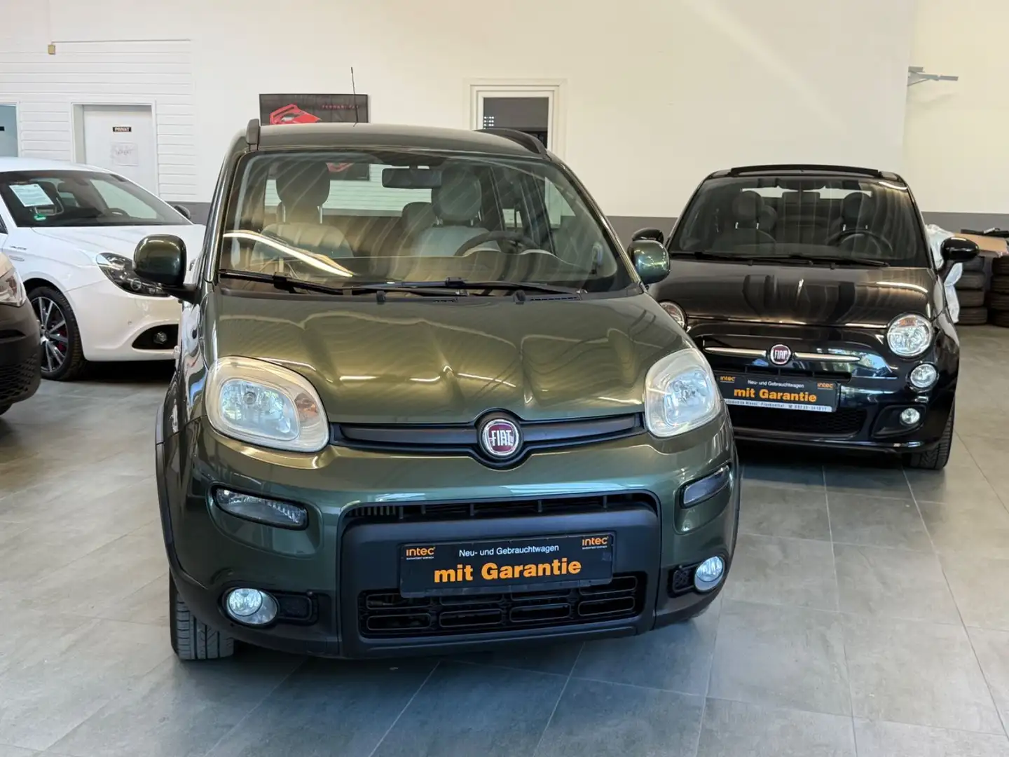 Fiat Panda Trekking Groen - 1