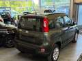 Fiat Panda Trekking Groen - thumbnail 10