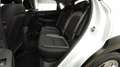 Hyundai KONA Kona I 1.0 t-gdi Comfort 2wd 120cv * SUPER PROMO Weiß - thumbnail 14