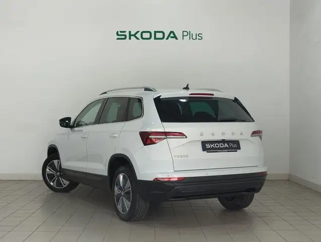 Skoda Karoq view 2