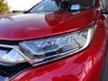 Honda CR-V 1.5T 4WD CVT-AT Executive -Leder -HUD -Navi -AHK Rosso - thumbnail 12