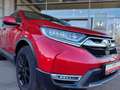 Honda CR-V 1.5T 4WD CVT-AT Executive -Leder -HUD -Navi -AHK Rot - thumbnail 3