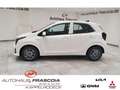 Kia Picanto 1.0 VISION Navi PDC SHZ Rückfahrkam Bluetooth Appl White - thumbnail 8
