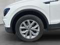 Volkswagen Tiguan Allspace Tiguan Allspace 2,0 TDI SCR 4Mot Weiß - thumbnail 22
