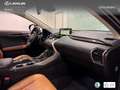 Lexus NX 350h Luxury 2WD Verde - thumbnail 6