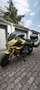 BMW R 1250 RS Gold - thumbnail 3