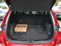 Ford Kuga Plug-In Hybrid Vignale LED ACC TWA Rojo - thumbnail 9