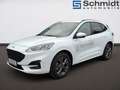 Ford Kuga ST-Line 2,0 Eblue 120PS A8 AWD Weiß - thumbnail 2