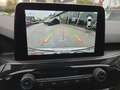 Ford Kuga ST-Line 2,0 Eblue 120PS A8 AWD Weiß - thumbnail 13